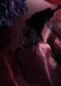 Gommage Corps Arabesque Wood