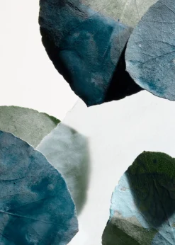 Lotion Mains Arabesque Wood