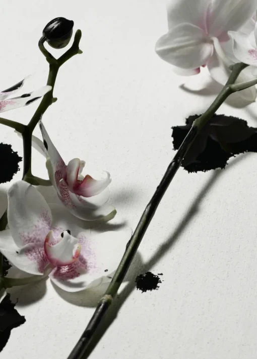 Parfum Roll-on Punk Bouquet